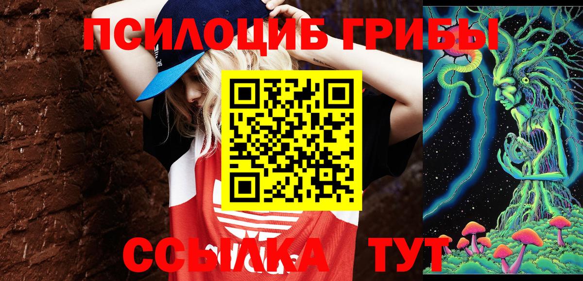 Сегежа  Галлюциногенные грибы ЛСД  Галлюциногенные грибы GOLDEN TEACHER  Вход с VPN 